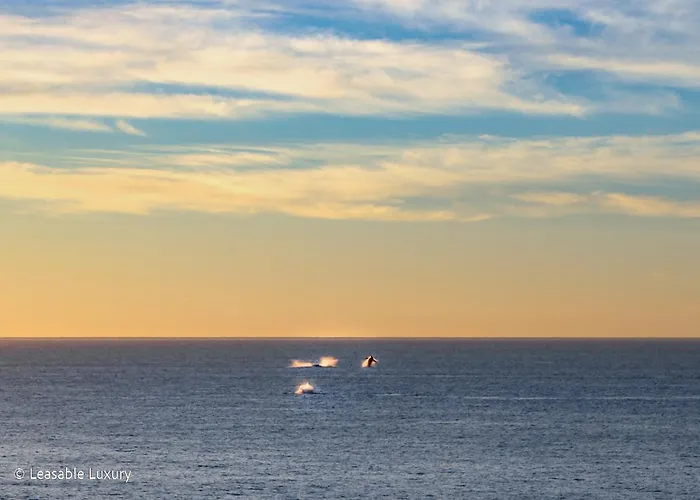 Sirena Del Mar Luxury Welk Villas * El Pueblito (Baja California Sur)